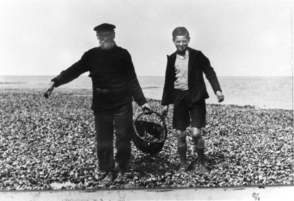 Diwydiant Cregyn Gleision Conwy Mussel Industry - Hawlfraint Gwasanaeth Archifau Conwy / Copyright Conwy Archives Service