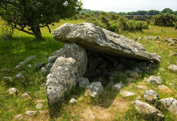 Cors y Gedol - Hawlfraint Ein Treftadaeth / Copyright Our Heritage