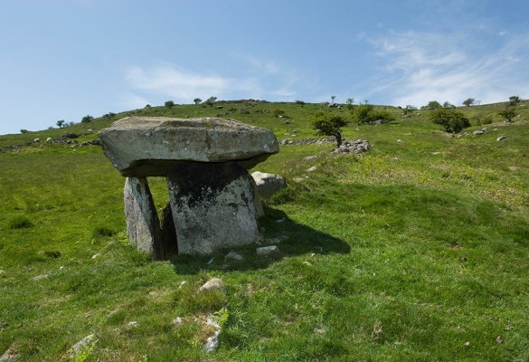 Maen y Bardd - Hawlfraint Ein Treftadaeth / Copyright Our Heritage