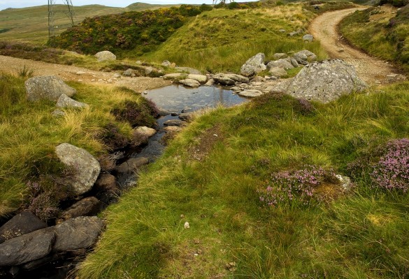 Ffordd Rufeinig Rowen Roman Road - Hawlfraint Ein Treftadaeth / Copyright Our Heritage